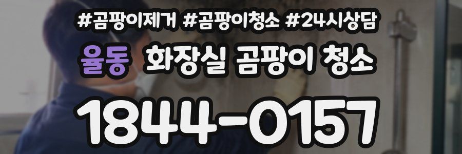 율동 화장실 곰팡이 청소