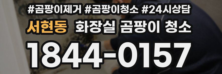 서현동 화장실 곰팡이 청소