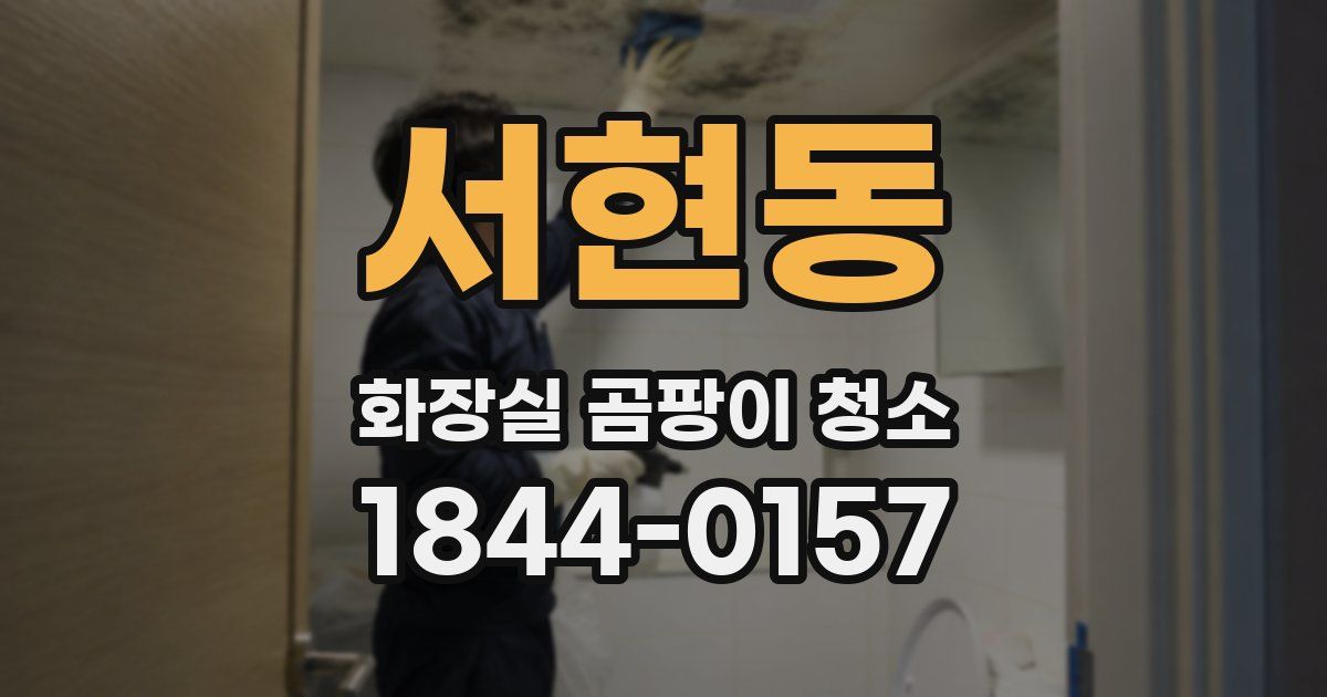 서현동 화장실 곰팡이 청소
