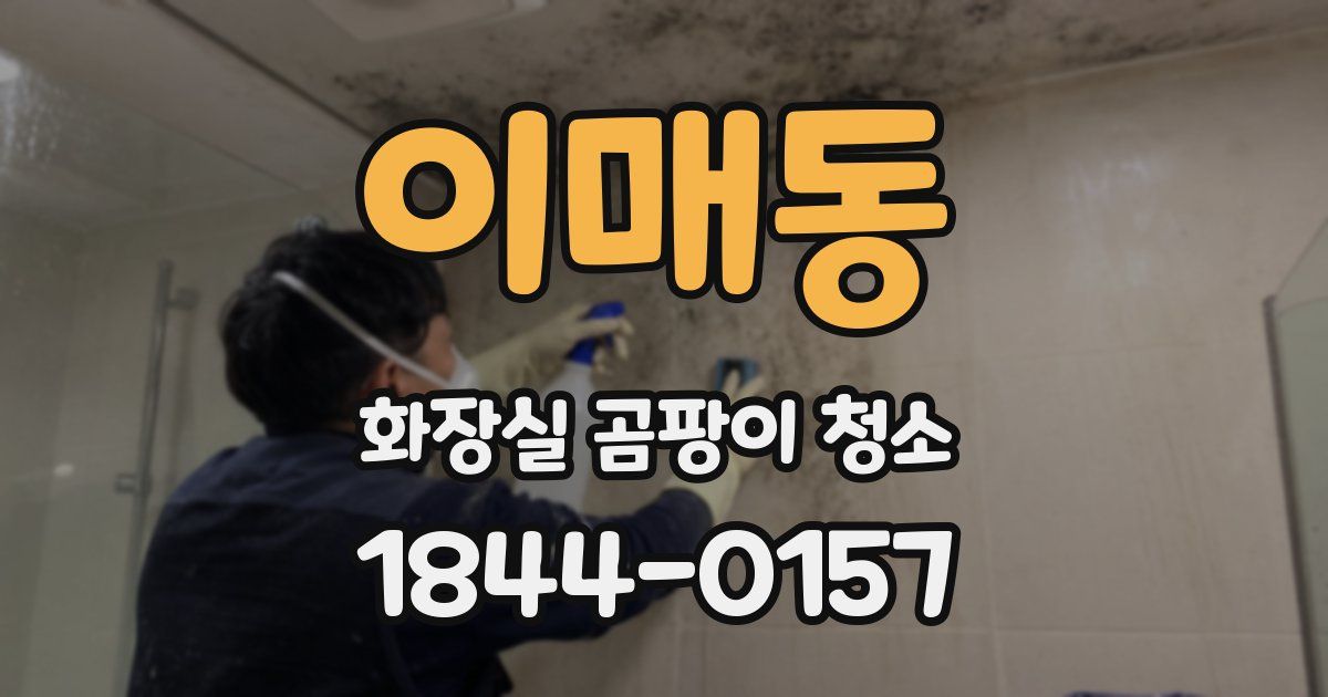 이매동 화장실 곰팡이 청소