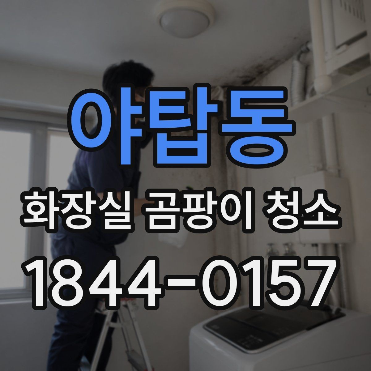 야탑동 화장실 곰팡이 청소 천장 쪽 오염이 생기는 원인과 대처