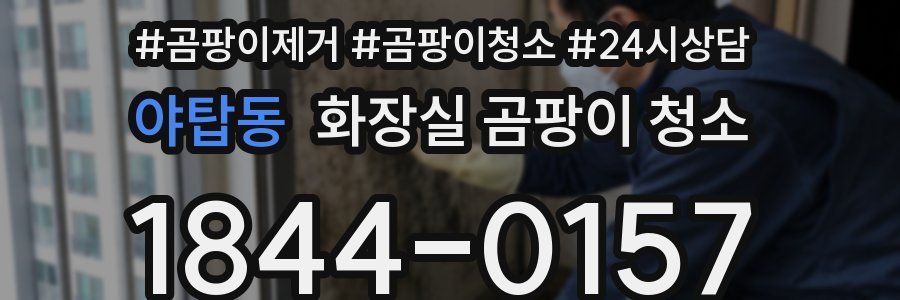 야탑동 화장실 곰팡이 청소