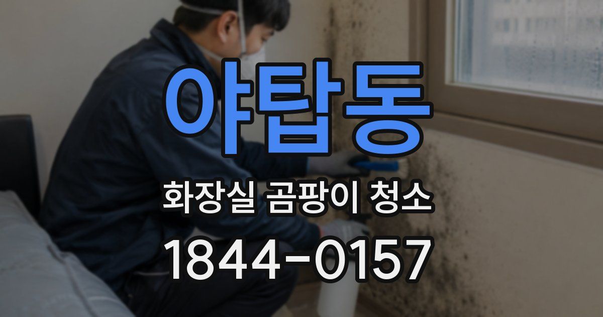 야탑동 화장실 곰팡이 청소