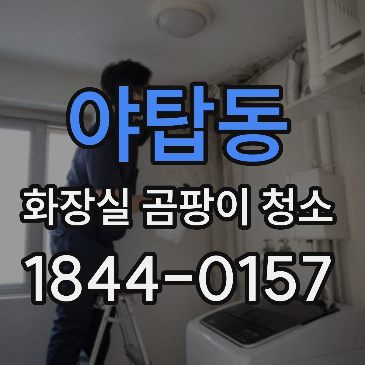 야탑동 화장실 곰팡이 청소