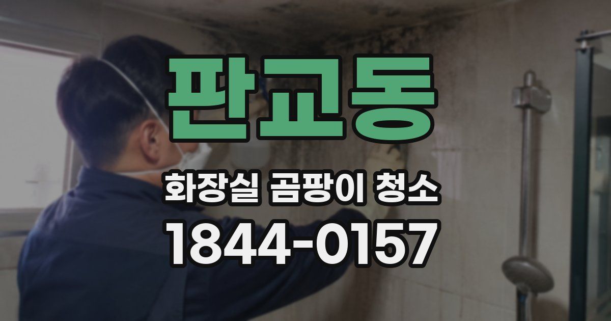 판교동 화장실 곰팡이 청소