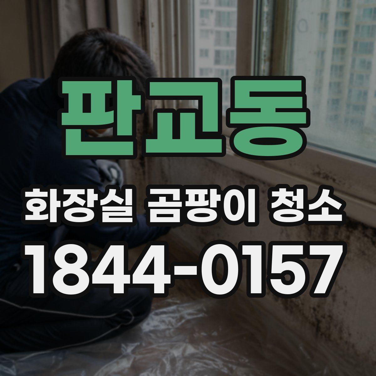 판교동 화장실 곰팡이 청소