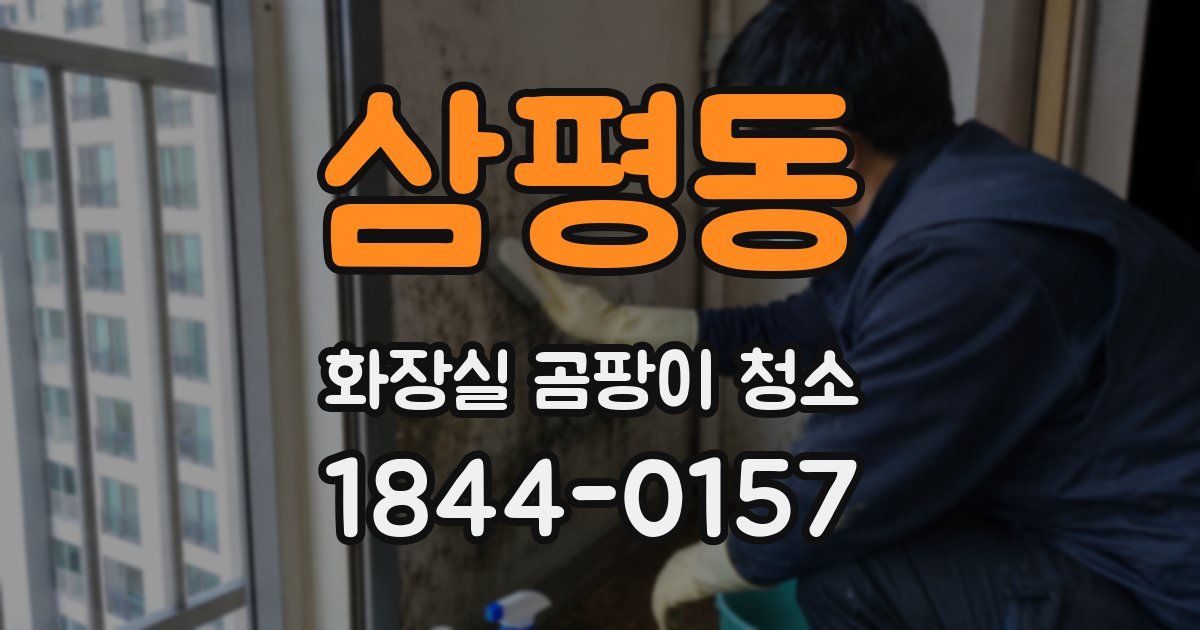 삼평동 화장실 곰팡이 청소