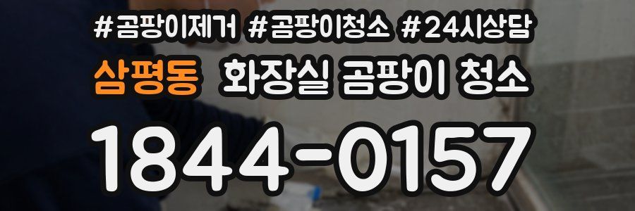 삼평동 화장실 곰팡이 청소