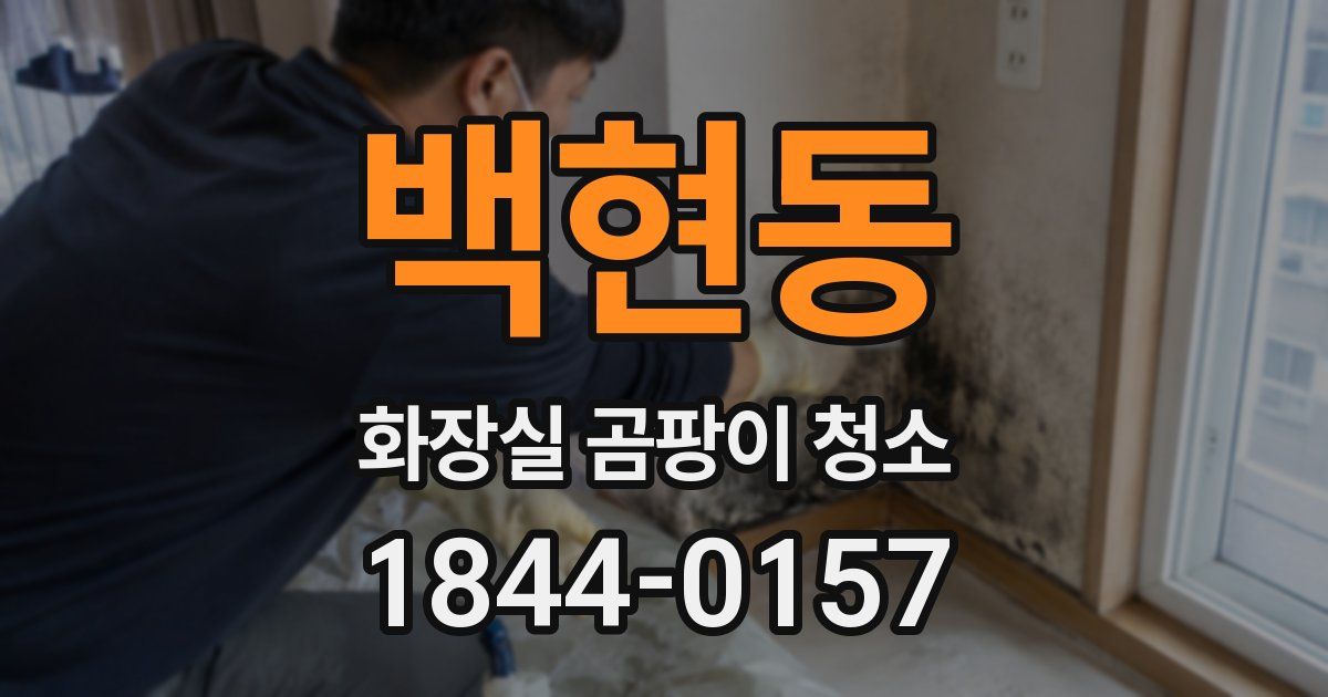 백현동 화장실 곰팡이 청소
