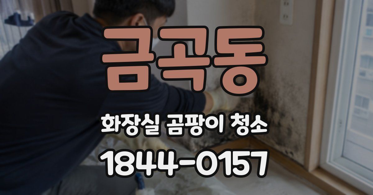 금곡동 화장실 곰팡이 청소