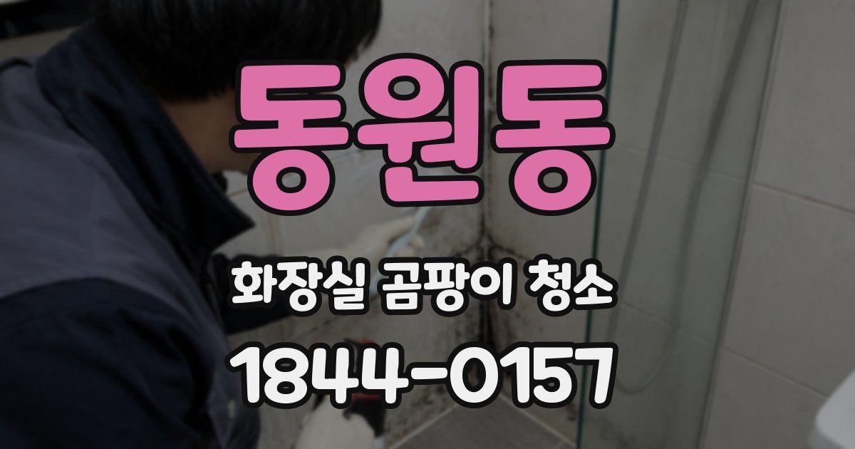 동원동 화장실 곰팡이 청소