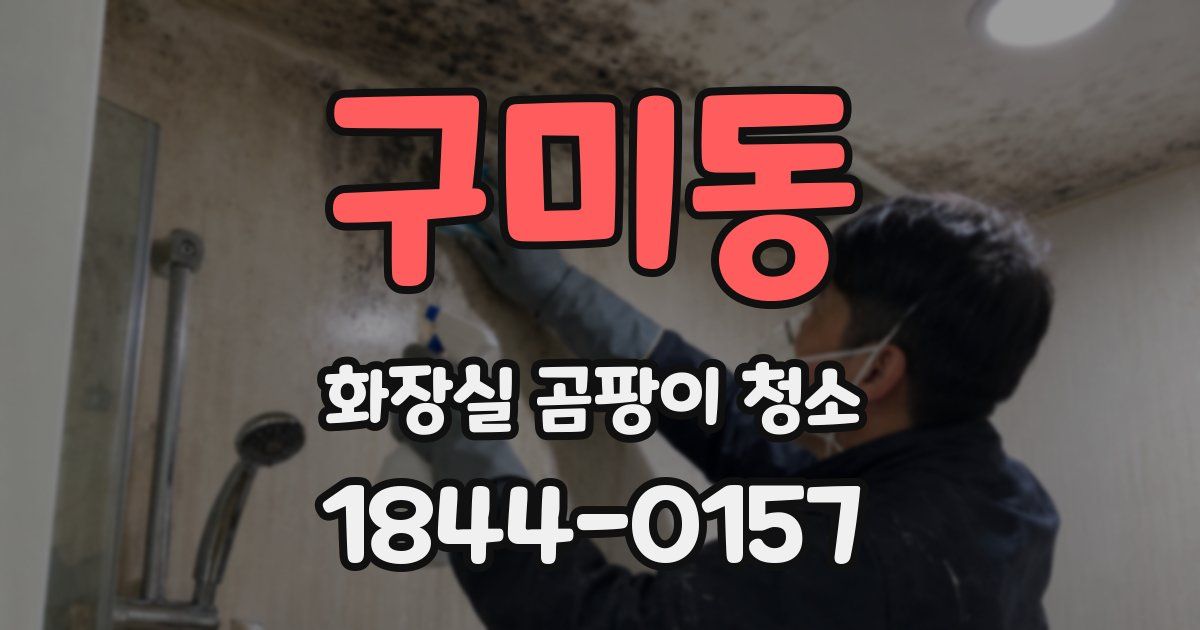 구미동 화장실 곰팡이 청소