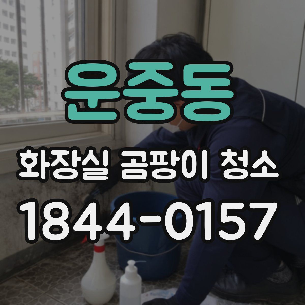 운중동 화장실 곰팡이 청소