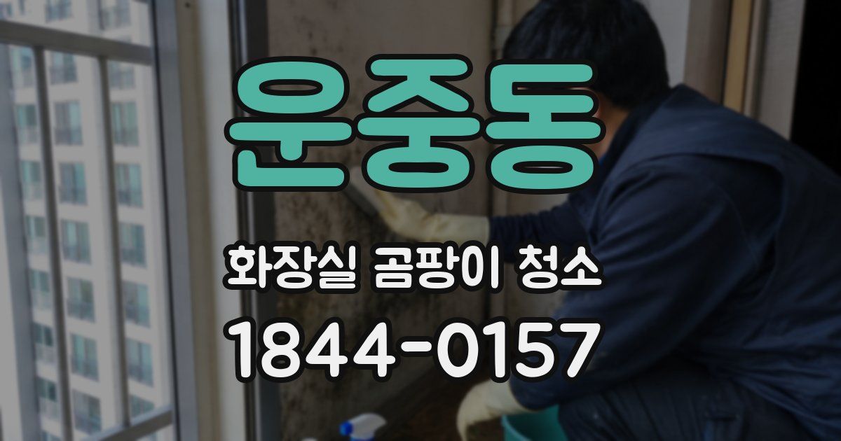 운중동 화장실 곰팡이 청소