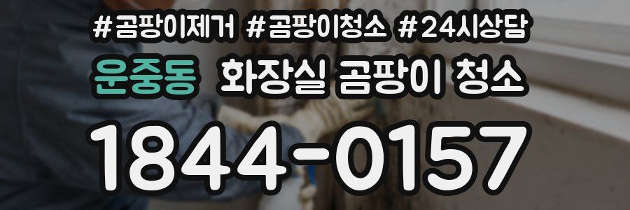 운중동 화장실 곰팡이 청소
