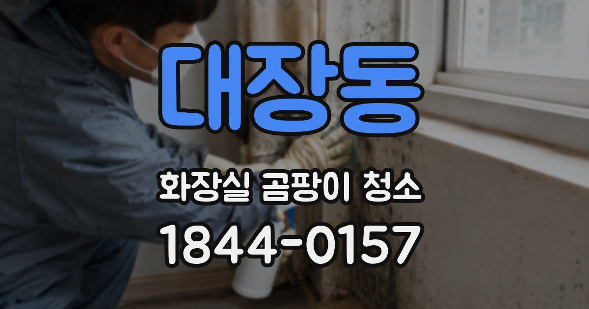 대장동 화장실 곰팡이 청소