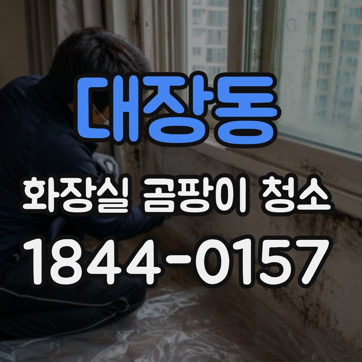 대장동 화장실 곰팡이 청소