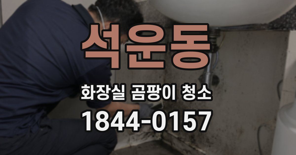 석운동 화장실 곰팡이 청소