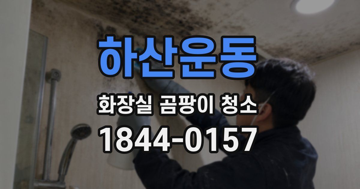 하산운동 화장실 곰팡이 청소