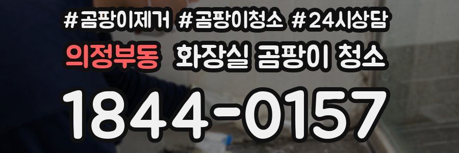 의정부동 화장실 곰팡이 청소