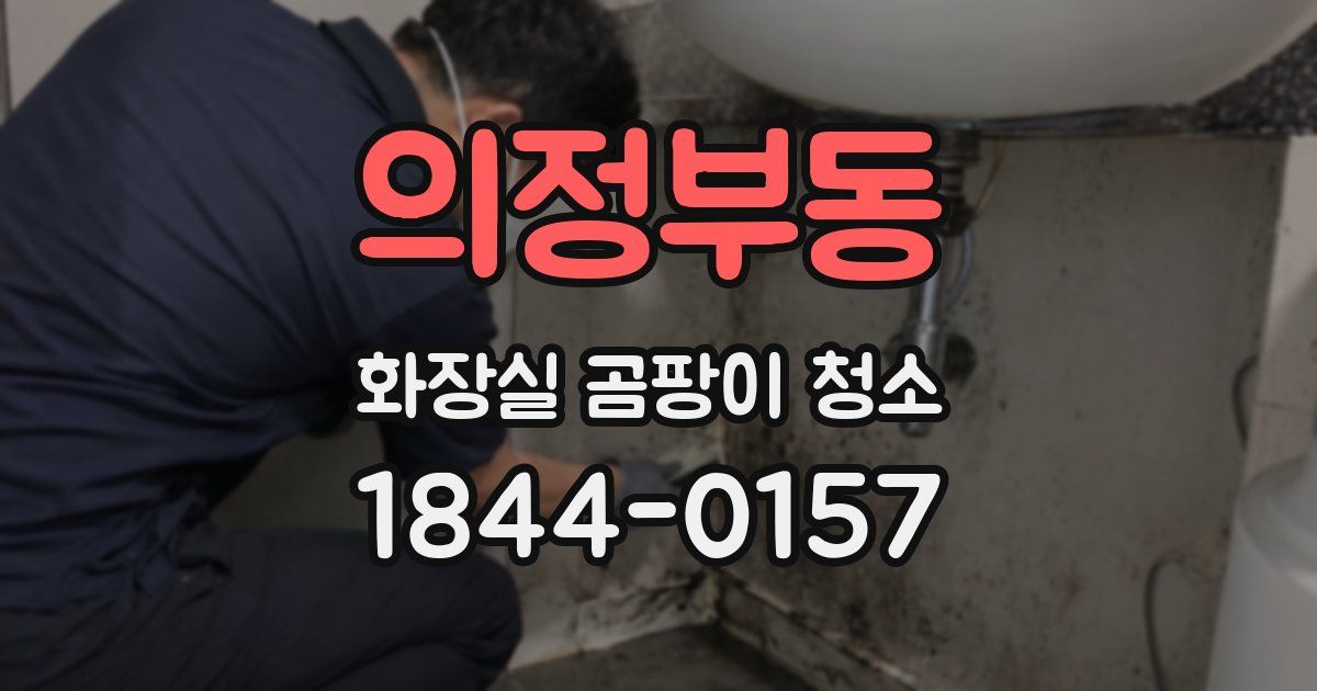 의정부동 화장실 곰팡이 청소