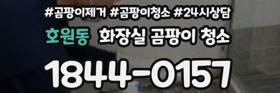 호원동 화장실 곰팡이 청소