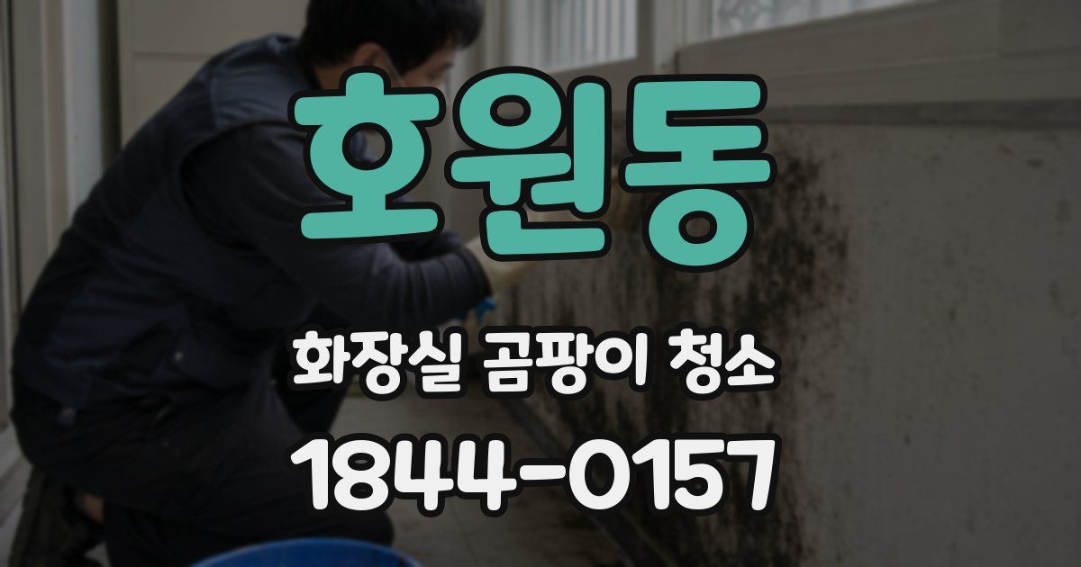 호원동 화장실 곰팡이 청소