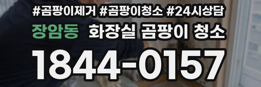 장암동 화장실 곰팡이 청소