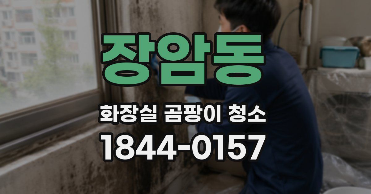장암동 화장실 곰팡이 청소