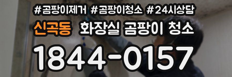 신곡동 화장실 곰팡이 청소
