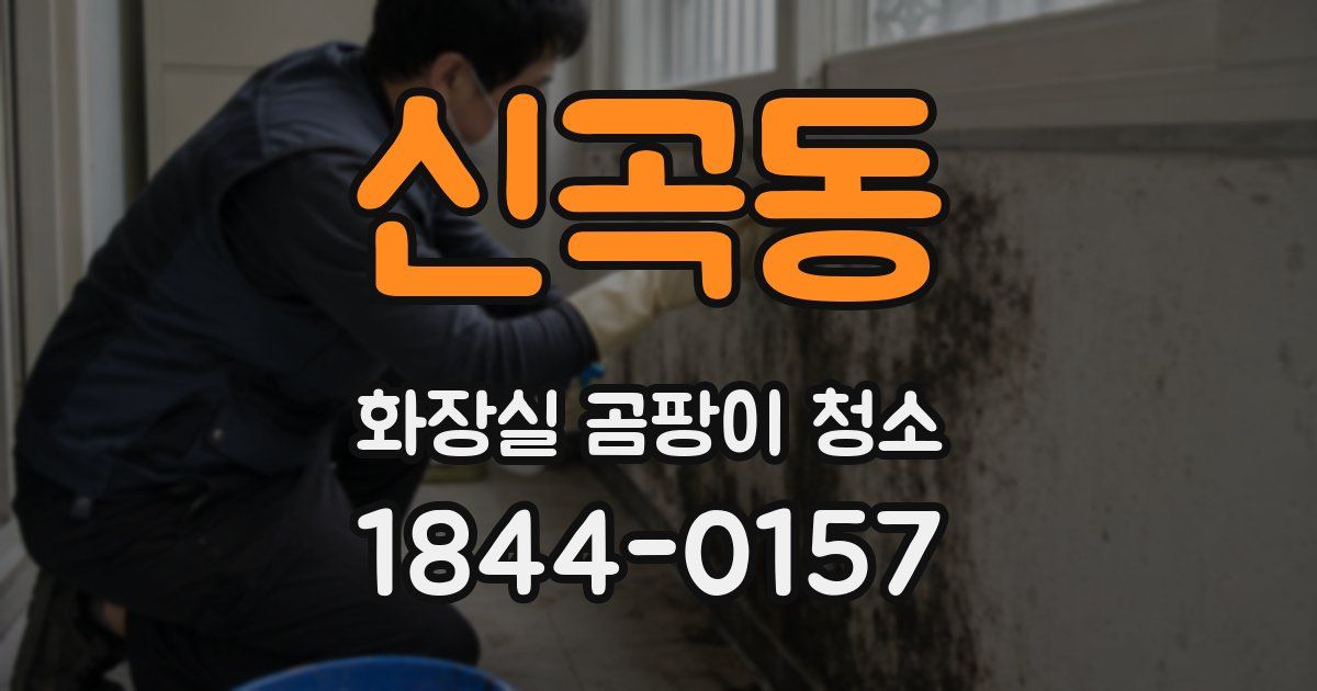 신곡동 화장실 곰팡이 청소