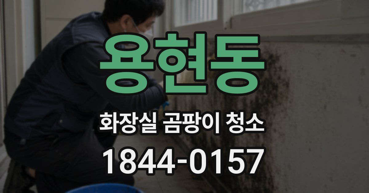 용현동 화장실 곰팡이 청소