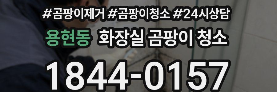용현동 화장실 곰팡이 청소
