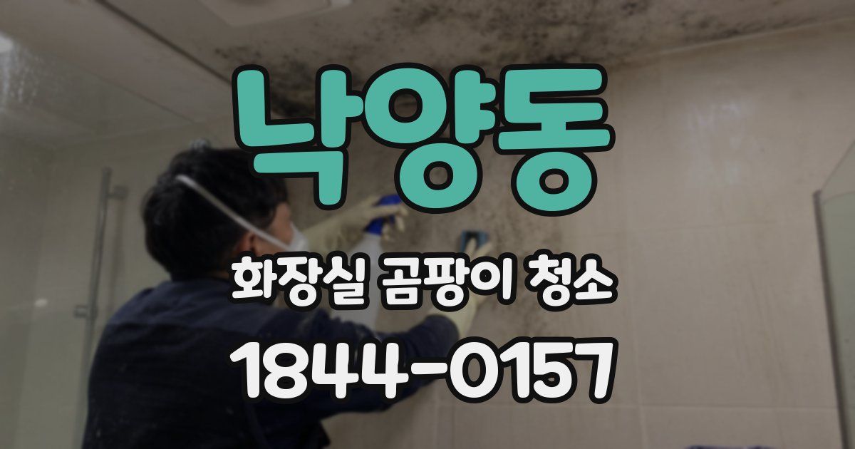 낙양동 화장실 곰팡이 청소
