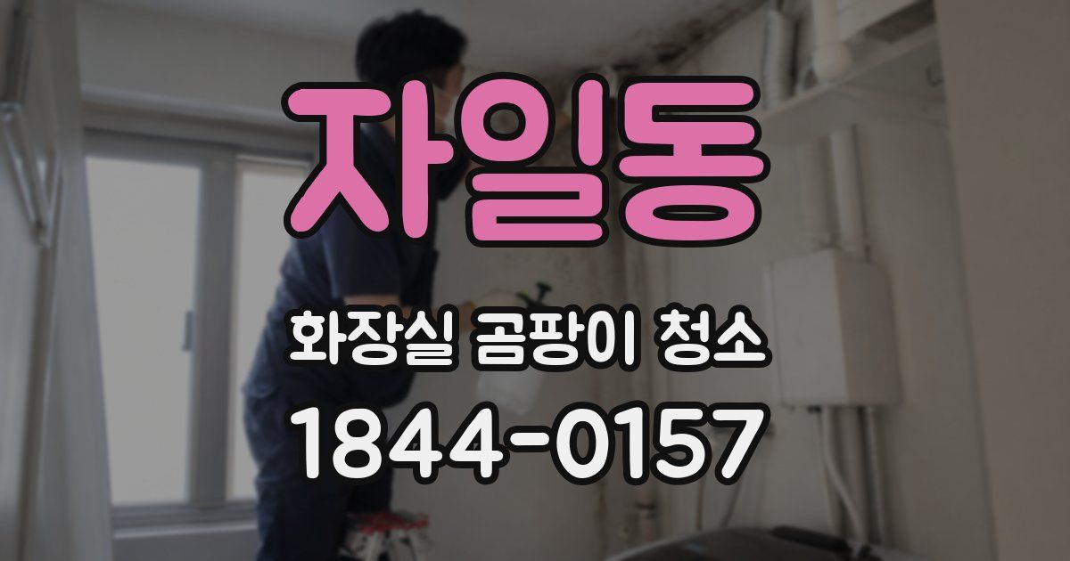 자일동 화장실 곰팡이 청소