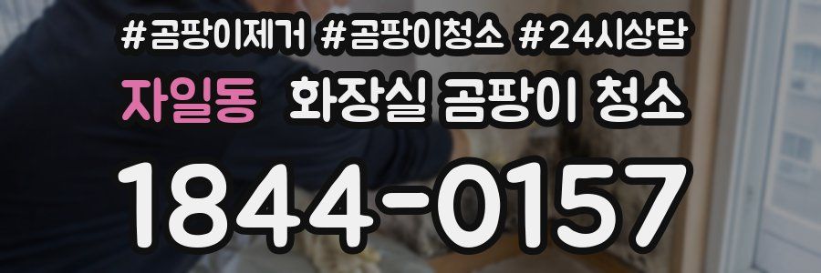 자일동 화장실 곰팡이 청소