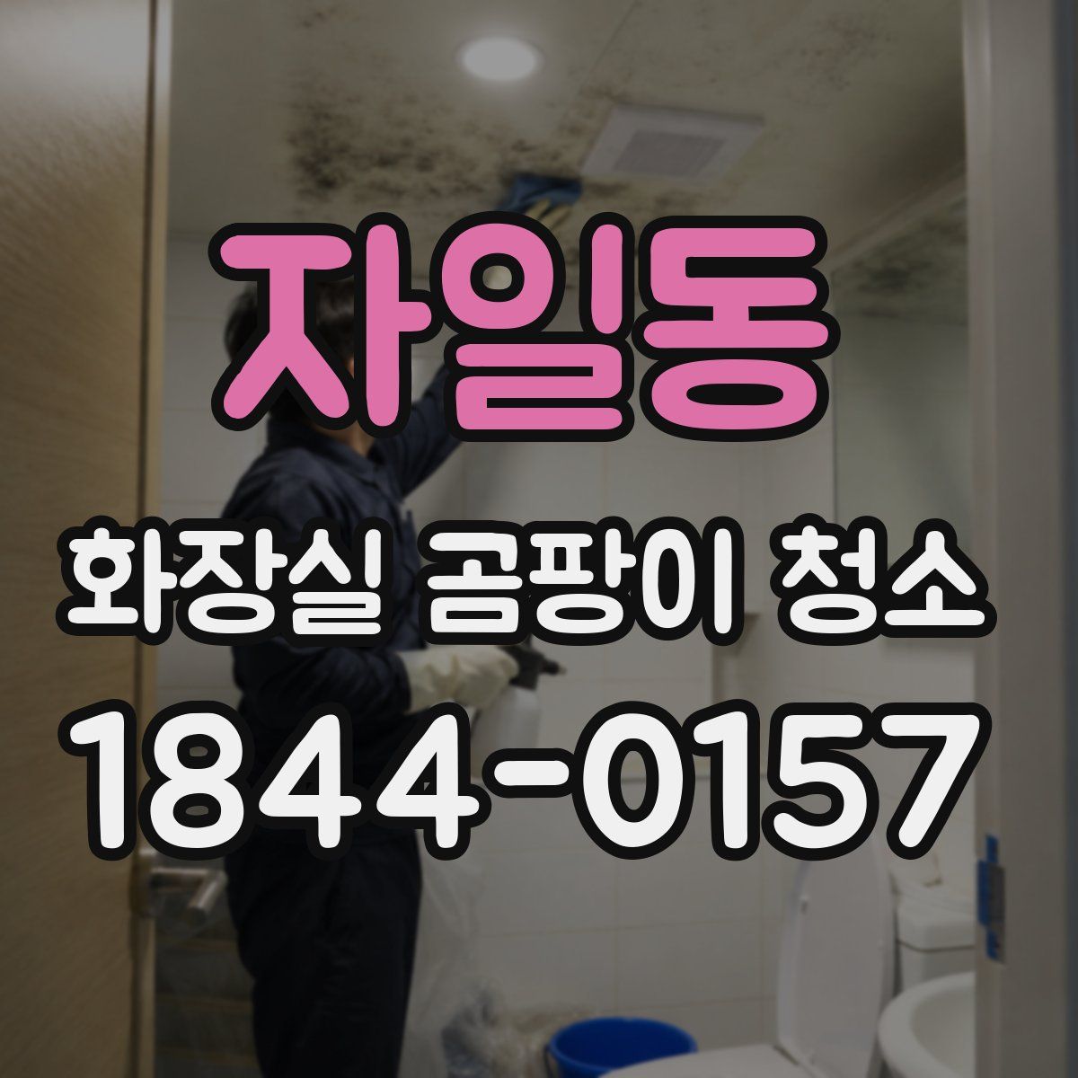 자일동 화장실 곰팡이 청소