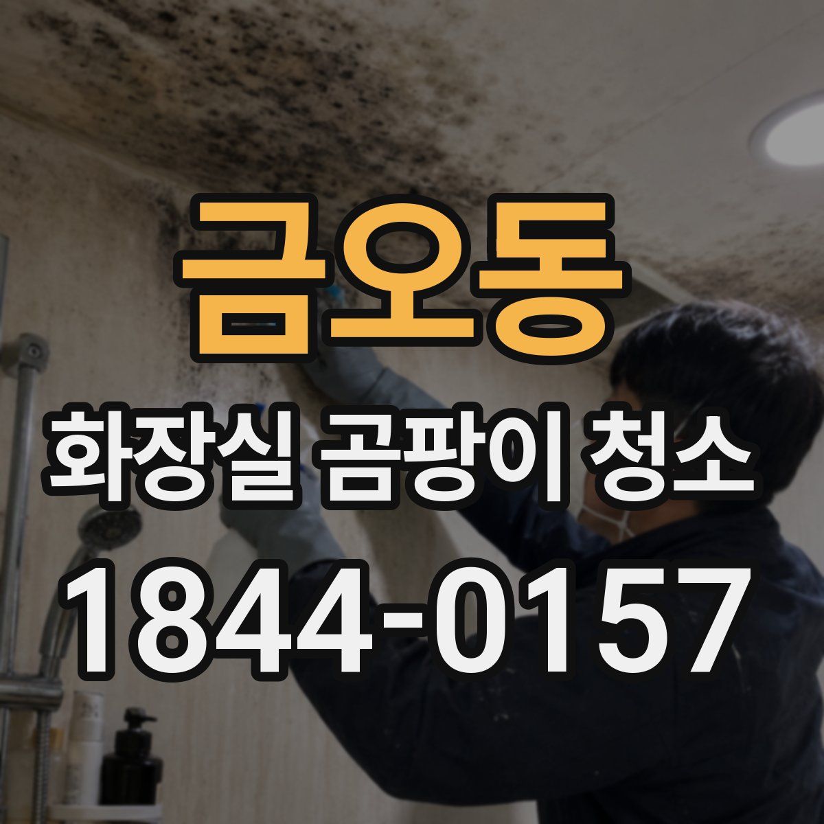 금오동 화장실 곰팡이 청소