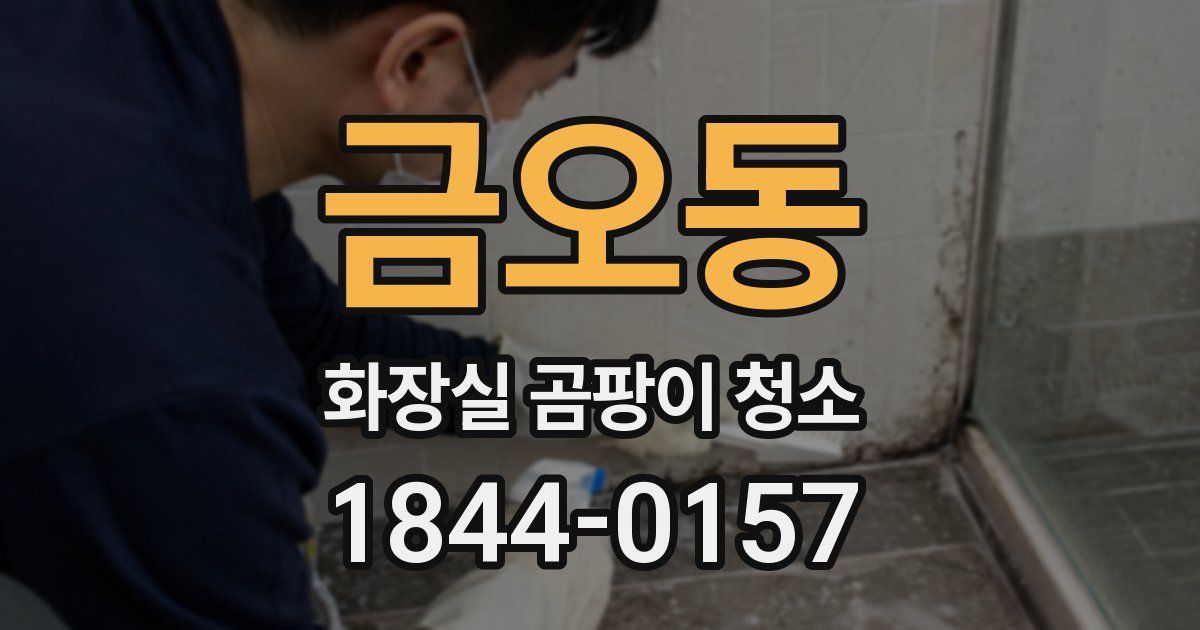 금오동 화장실 곰팡이 청소