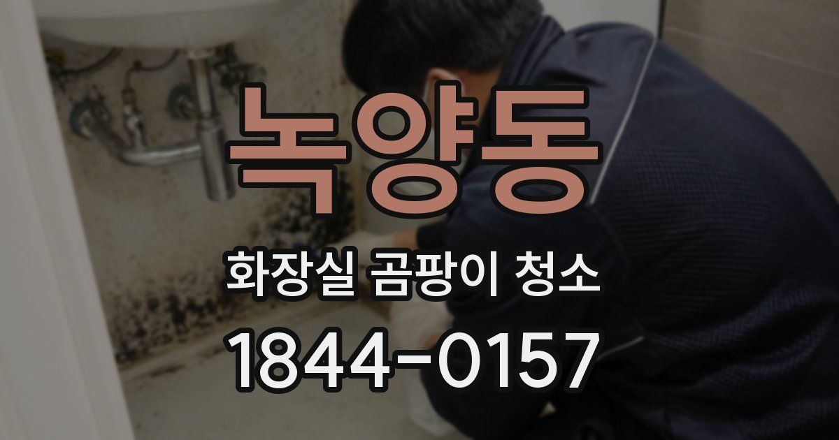 녹양동 화장실 곰팡이 청소