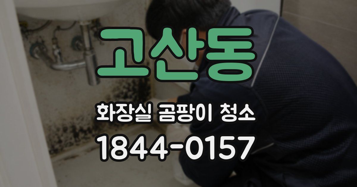 고산동 화장실 곰팡이 청소