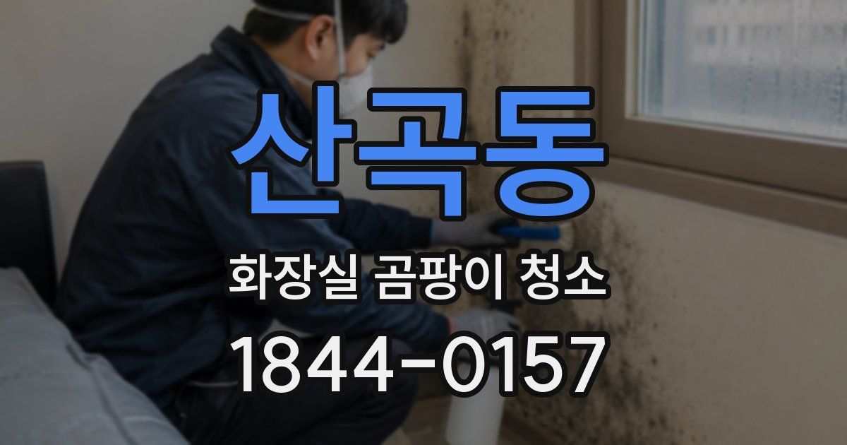 산곡동 화장실 곰팡이 청소