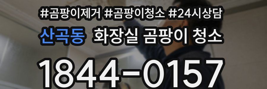 산곡동 화장실 곰팡이 청소