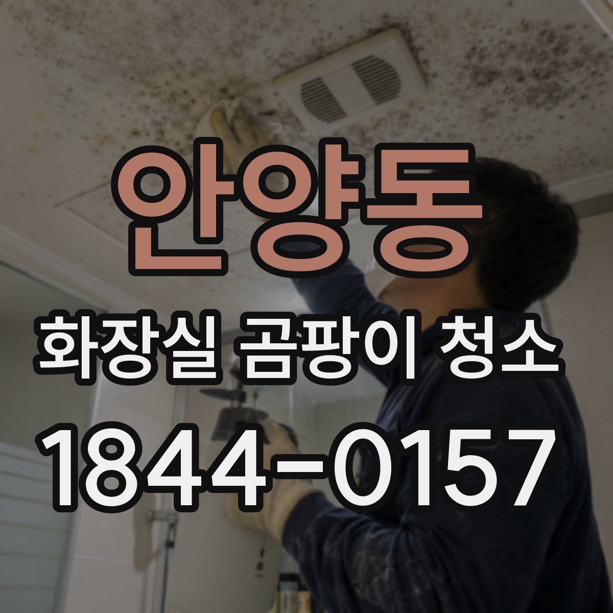 안양동 화장실 곰팡이 청소