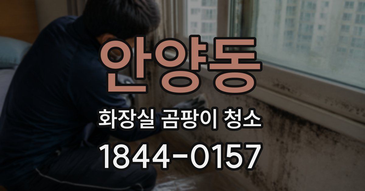 안양동 화장실 곰팡이 청소