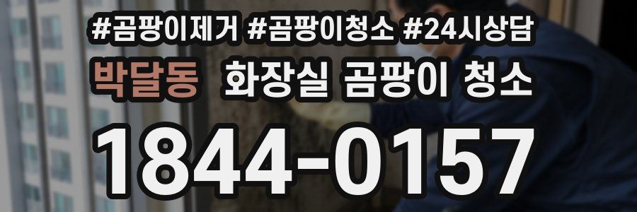 박달동 화장실 곰팡이 청소