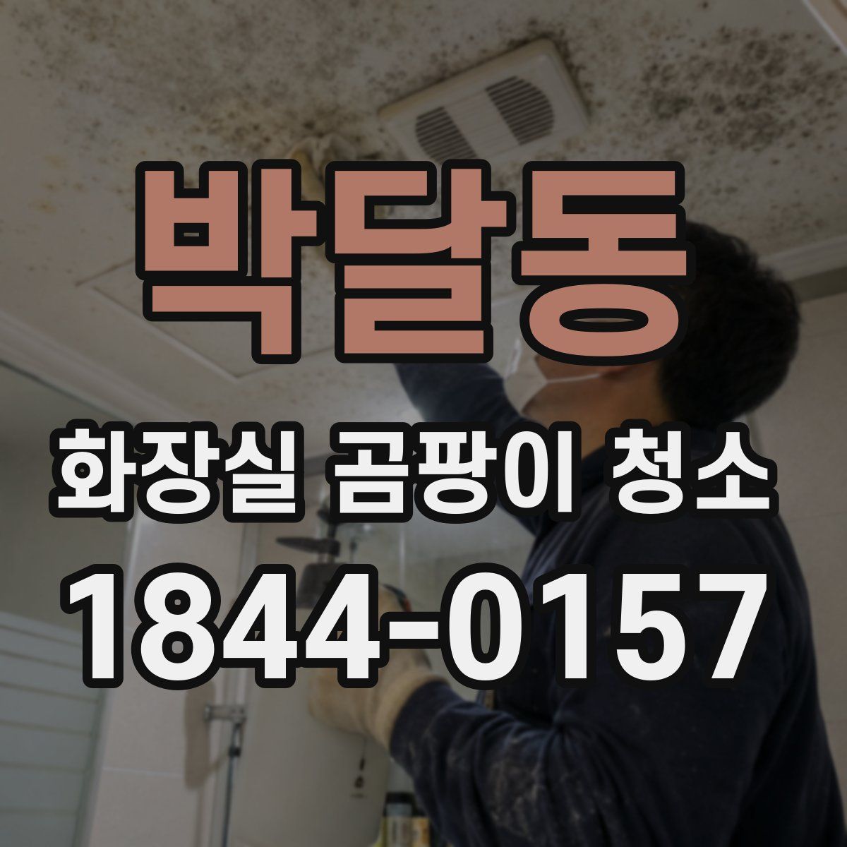 박달동 화장실 곰팡이 청소