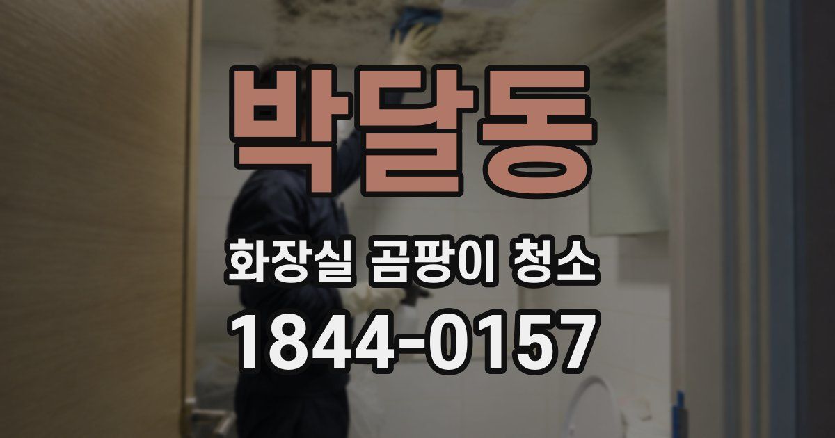 박달동 화장실 곰팡이 청소