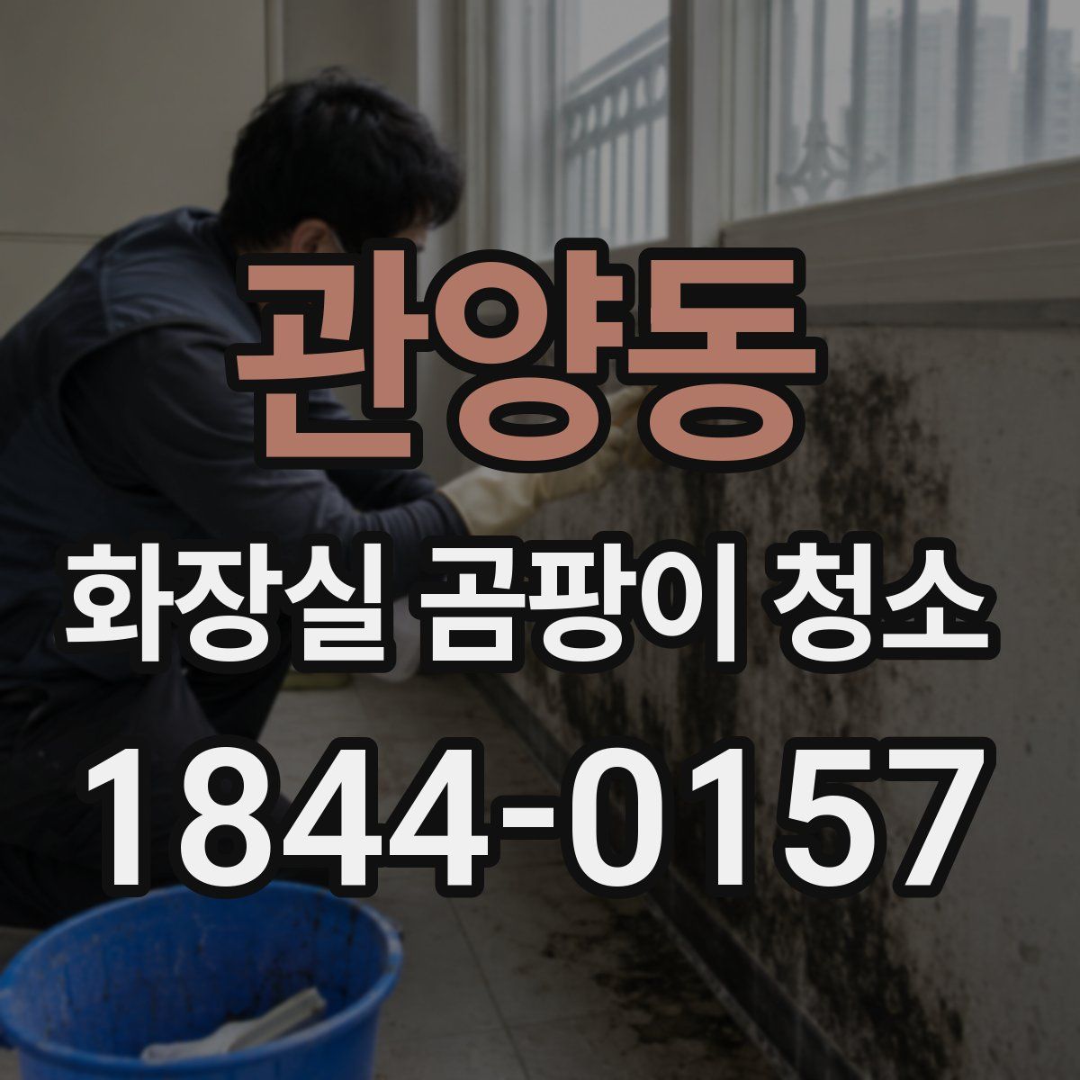 관양동 화장실 곰팡이 청소