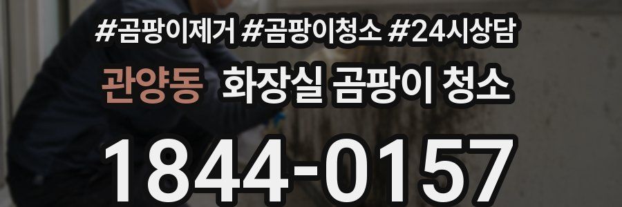 관양동 화장실 곰팡이 청소